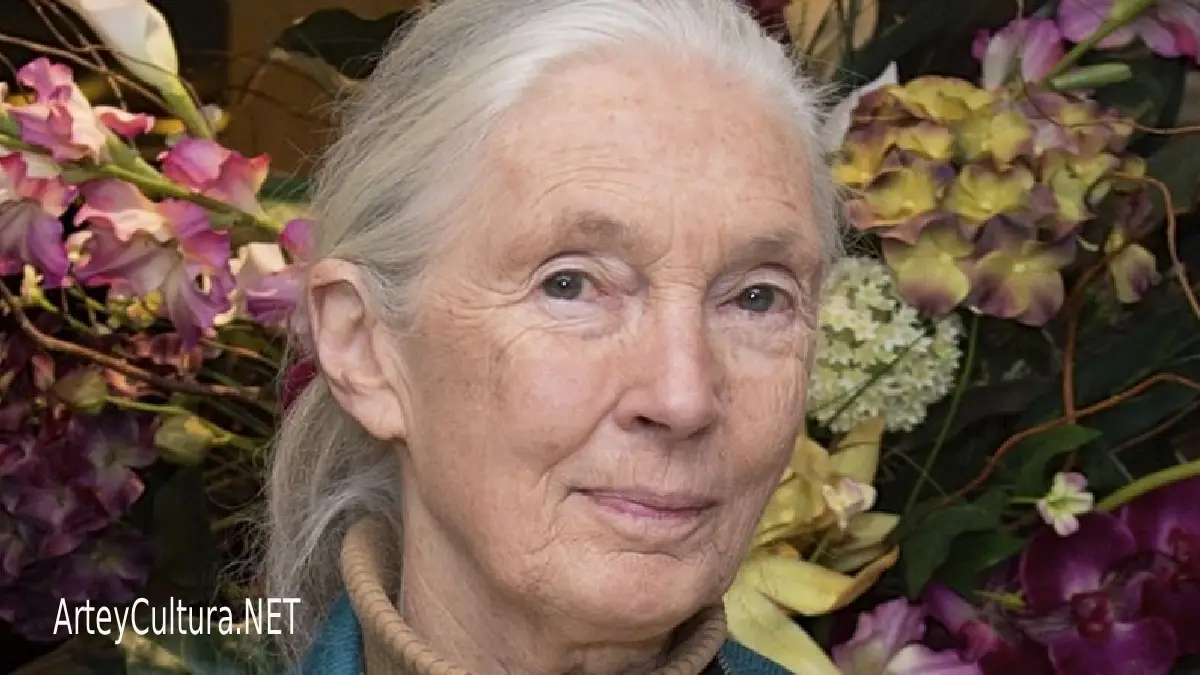 Portada del artículo: Jane Goodall: ciencia, chimpancés y defensa del planeta